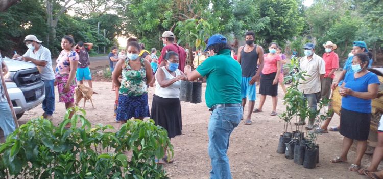 Comunidades del municipio de Intipucá avanzan en la implementación de las iniciativas productivas y sistemas de cosechas de agua